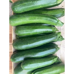 Courgettes vertes 1kg