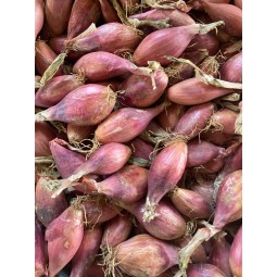 Echalotes 500g