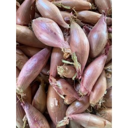 Echalions 500g