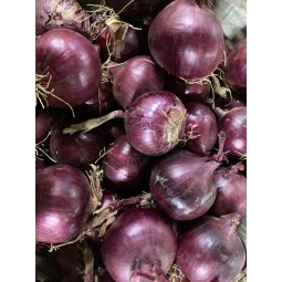 Oignons rouges 500g