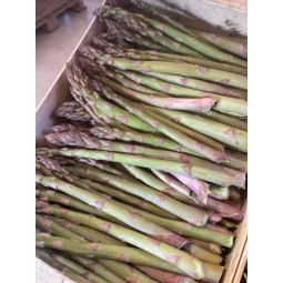 Asperges vertes 500g
