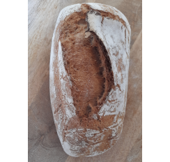 Pain pavé tradition BIO...