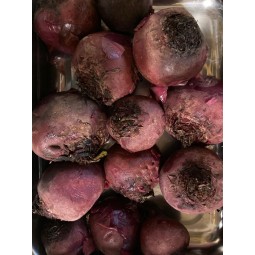 Betteraves rouges cuites 500g