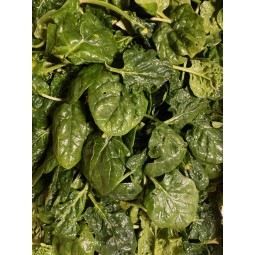 Epinards 1kg