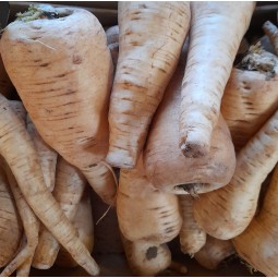 Panais 500g
