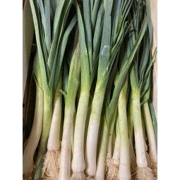 Poireaux 600g