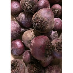 Betteraves rouges crues 500g